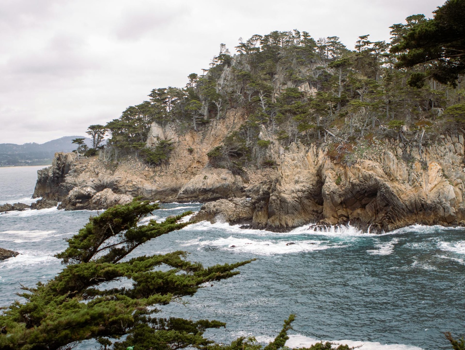 Point Lobos rugged coastal rocks